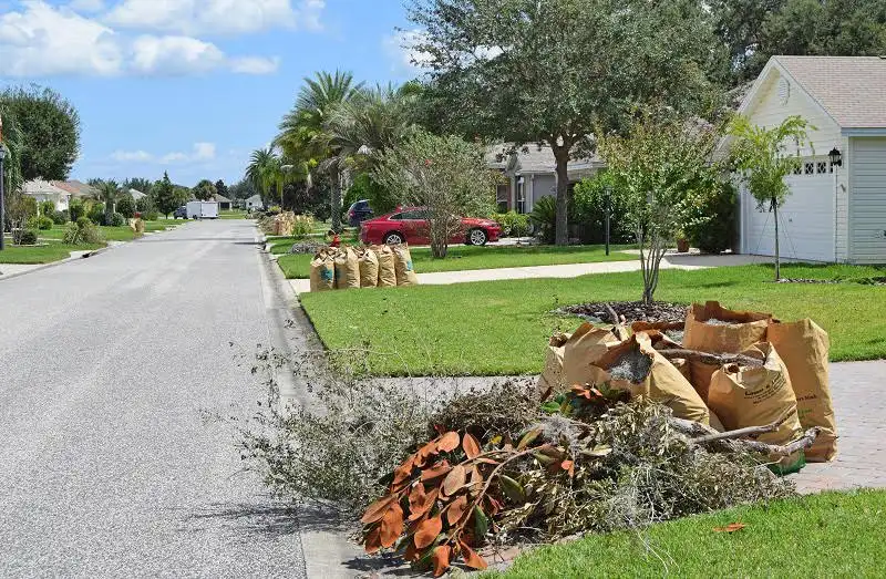 Pile of tree branches, leaves, and paper yard waste bags on lawn by residential curbside