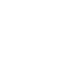 Efficiency icon