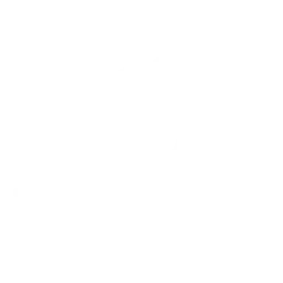 fast time icon