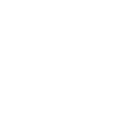Reliability icon