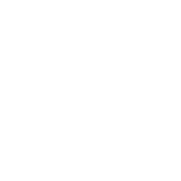 Safe hand icon
