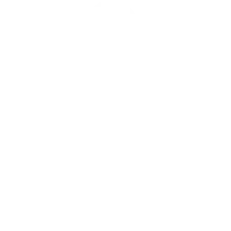 Sorting